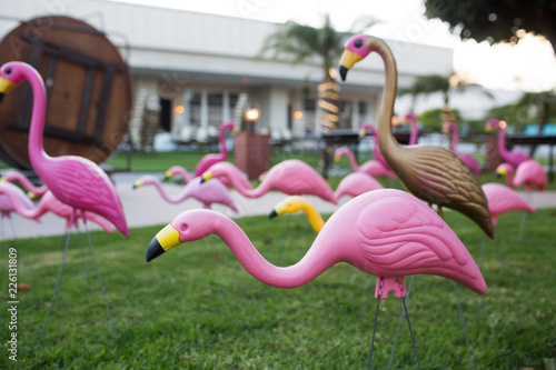 Toy Flamingo in Grass Field