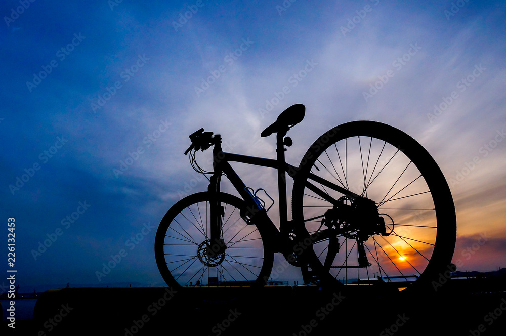 Obraz premium 夕焼けと自転車