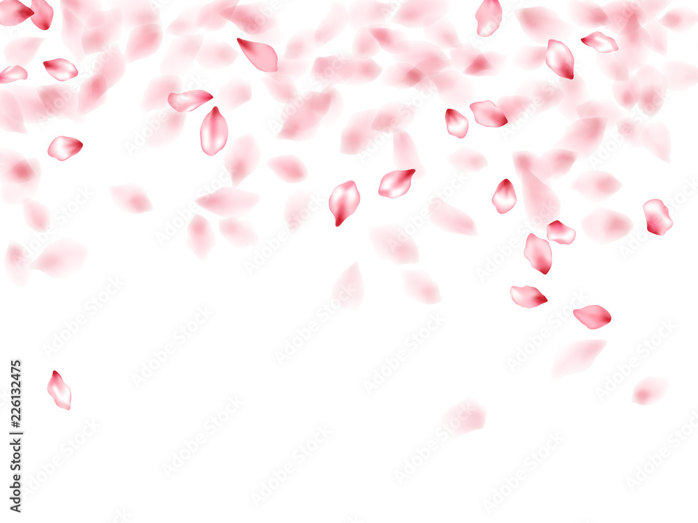Apricot flower flying petals isolated on white. Natural floral background. Japanese sakura petals seasonal confetti, blossom elements flying. Falling cherry blossom flower parts vector.