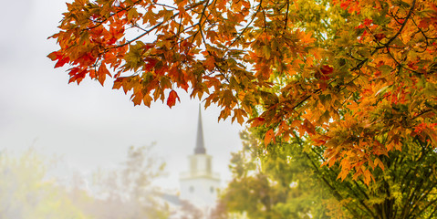Autumn background with brightly colored foliage in foreground on side and blurre trees and church with steeple in background - half page web banner