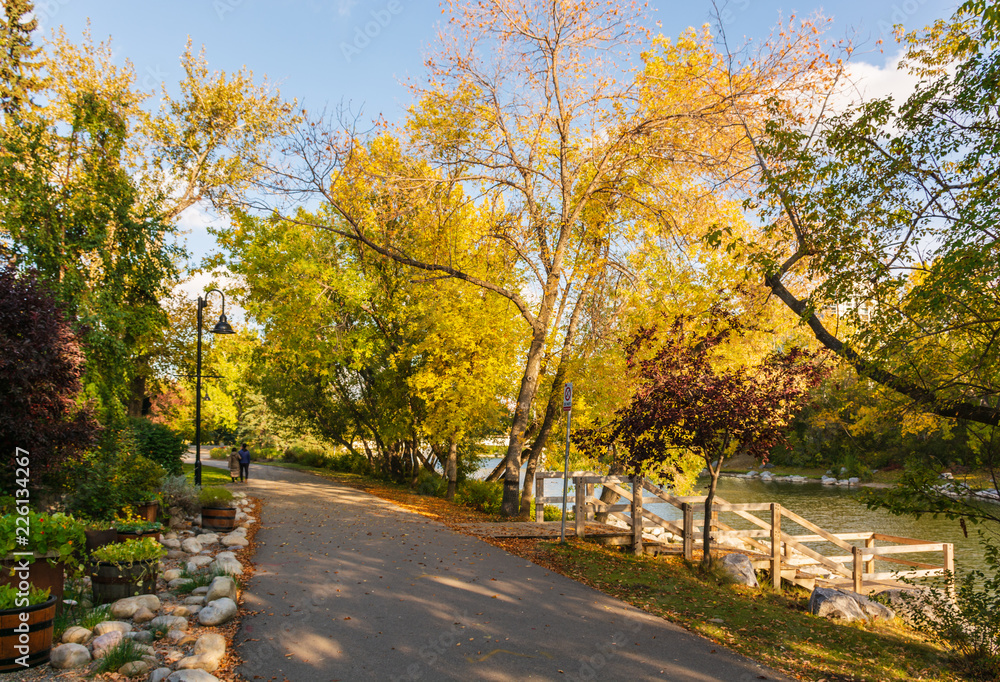 Autumnal footpath at Prince's Island Park in Calgary