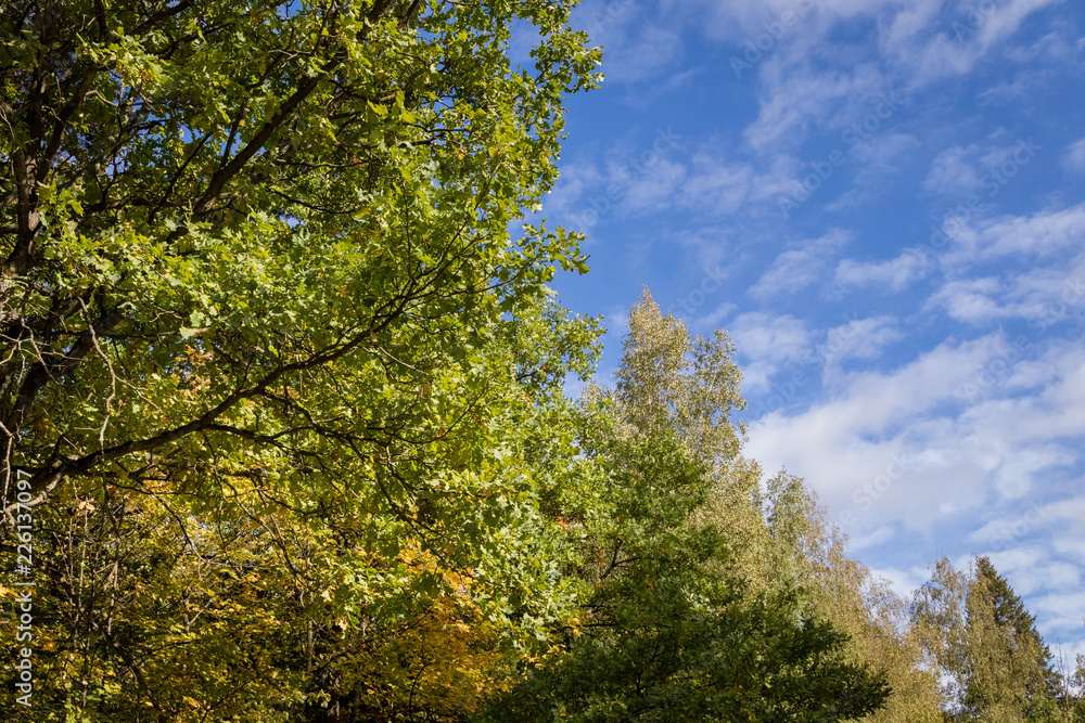 Autumn on the bank of the lake in Moscow region. September 2018. Moscow region. Central Russia. Russia