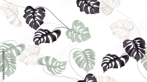 Floral seamless pattern, green, black and white split-leaf Philodendron plant on white background, pastel vintage theme