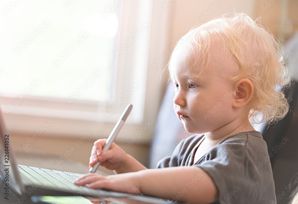 Baby playing with laptop computer