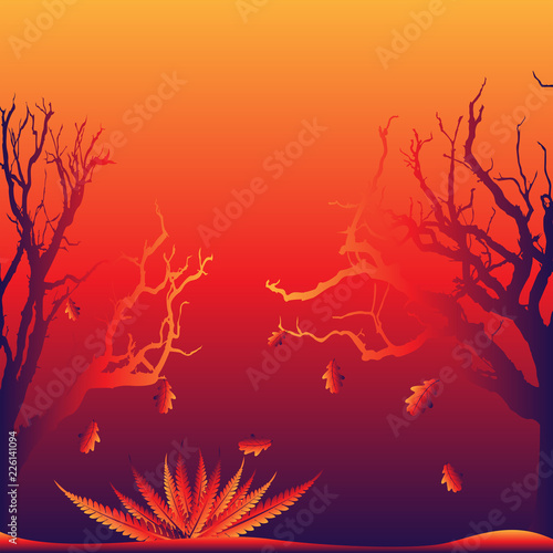 landscape oak forest