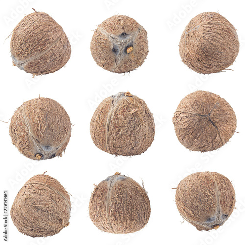 coconuts isolated on gary background clipping path