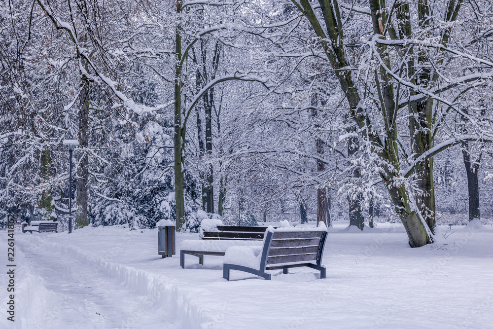 Couple bench fully covered in snow during winter time