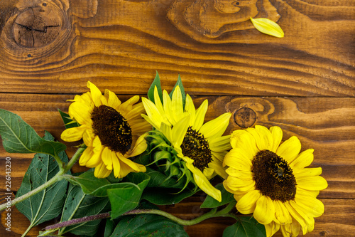 Fototapeta Naklejka Na Ścianę i Meble -  Decorative sunflowers on the wooden background