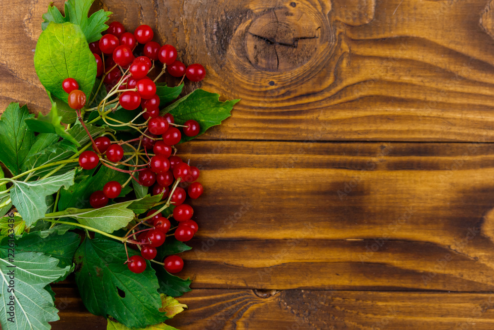 Red viburnum berries with green leaves on wooden table. Top view, copy space Red viburnum berries with green leaves on wooden table. Top view, copy space