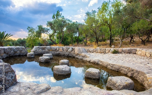 Ayalon Canada park background