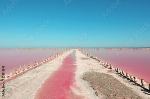 Beautiful view of pink lake on summer day photo