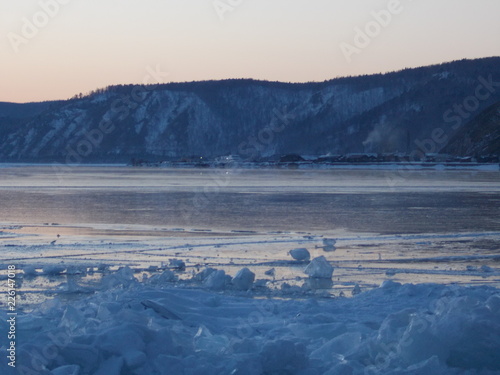 Siberian species