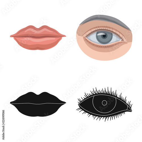 Isolated object of human and part icon. Collection of human and woman stock symbol for web.