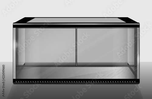 Empty glass terrarium, transparent walls with reflections. Exotic pets home, empty paludarium with sliding doors, design element, horizontal low aquarium.