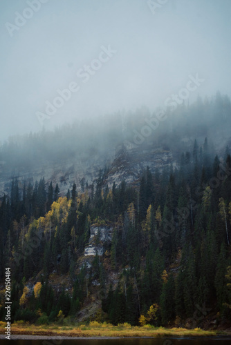 Autumn landscape: fog over the river in the autumn forest, top view. Wilderness.