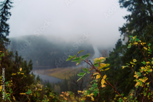 Autumn landscape  fog over the river in the autumn forest  top view. Wilderness.