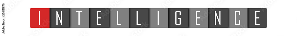 Intelligence - clear white text written in red and gray boxes on white background