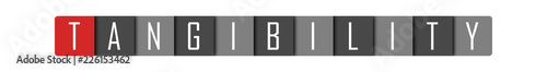 Photography Tangibility - clear white text written in red and gray boxes on white background