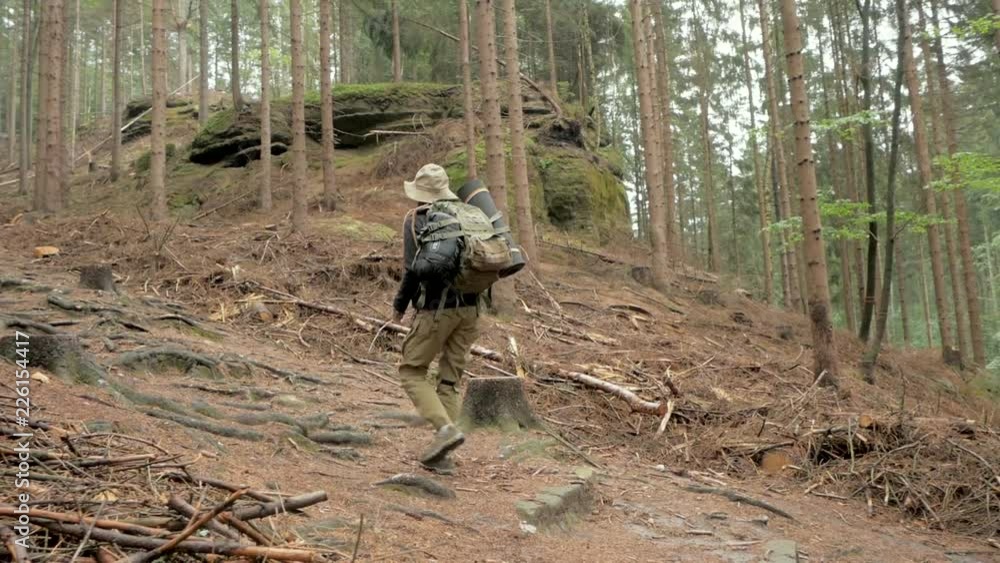 Young woman hiker travel alone in the forest and mountains with backpack Young woman hiker travel alone in the forest and mountains with backpack