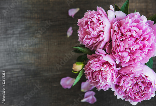 Fototapeta Naklejka Na Ścianę i Meble -  Pink peony flowers