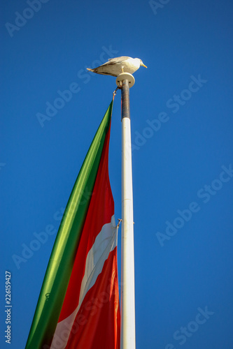 La bandera de Euskadi (Pais Vasco), comunidad autonoma de España es la ikurriña, diseñada por Sabino Arana y su hermano Luis Arana en 1894
