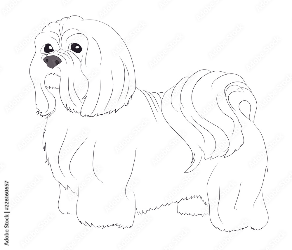 dog stands, lines, vector dog stands, lines, vector