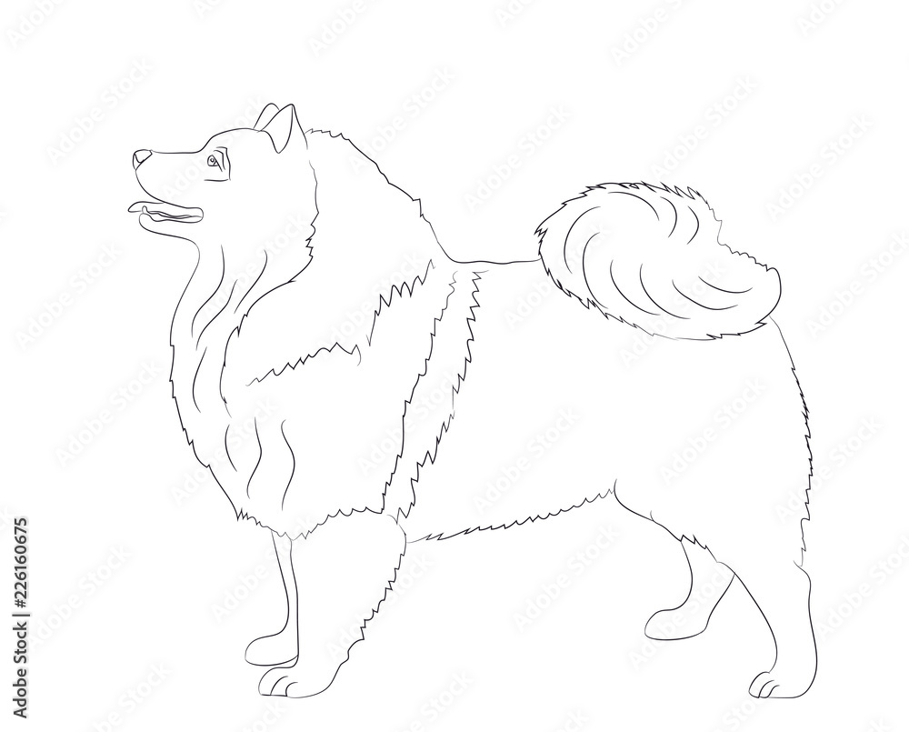 dog stands, lines, vector dog stands, lines, vector