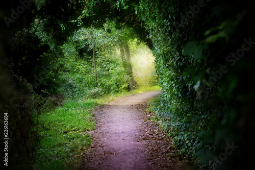 Landscape view of secret pathway to the light