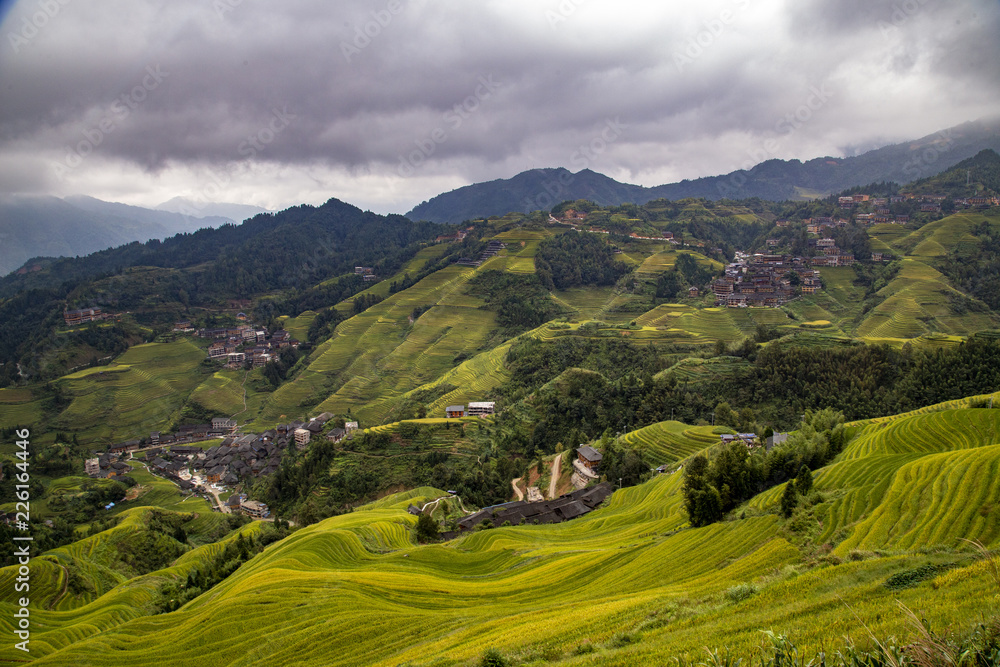 Terraces rice Terraces rice