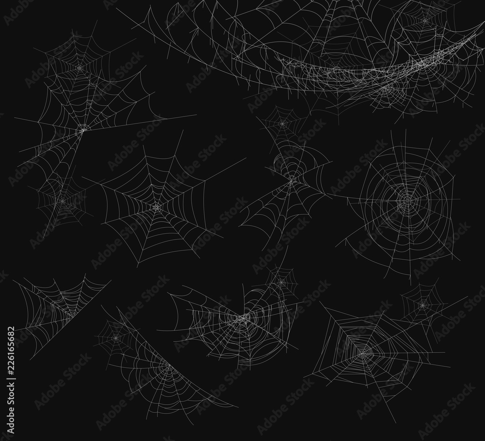 Vector illustration of spider web isolated on black background. Cobweb set.