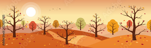 Autumn countryside landscape. Landscapes of mountains with trees and falling yellow  red foliage. Horizontal panoramic autumn landscape.