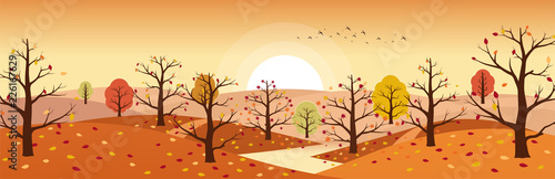 Autumn countryside landscape with river. Landscapes of mountains with trees and falling yellow, red foliage. Horizontal panoramic autumn landscape.