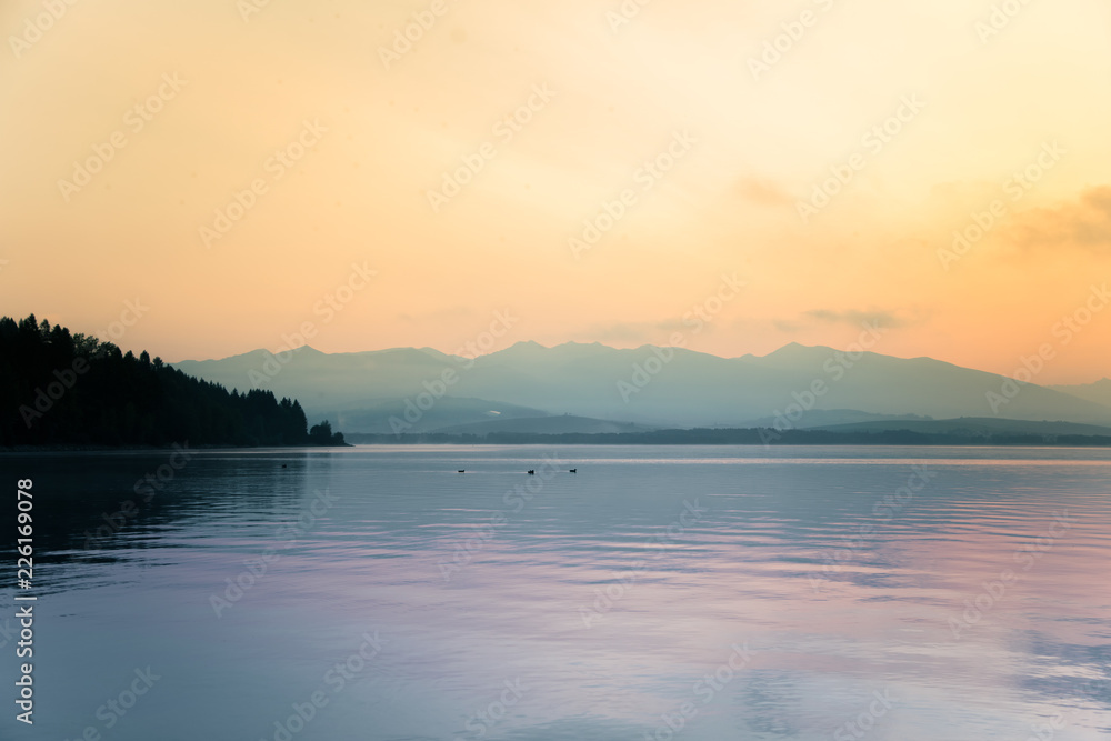 A beautiful morning landscape with ducks swimming in the mountain lake with mountains in distance. Sunset scenery in light colors. Birds in natural habitat. Tatra mountains in Slovakia, Europe.
