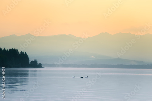 A beautiful morning landscape with ducks swimming in the mountain lake with mountains in distance. Sunset scenery in light colors. Birds in natural habitat. Tatra mountains in Slovakia, Europe. © dachux21