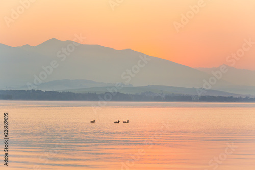 A beautiful morning landscape with ducks swimming in the mountain lake with mountains in distance. Sunset scenery in light colors. Birds in natural habitat. Tatra mountains in Slovakia  Europe.