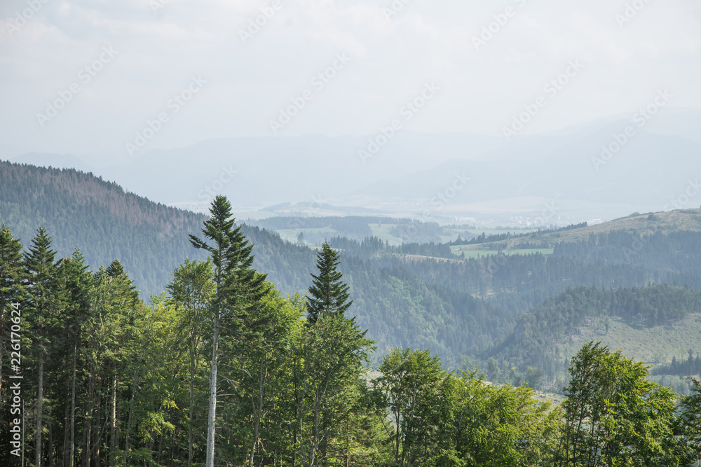 A beautiful mountain landscape in Tatra mountains in Slovakia, Europe. Summer scenery with mountains and forest.