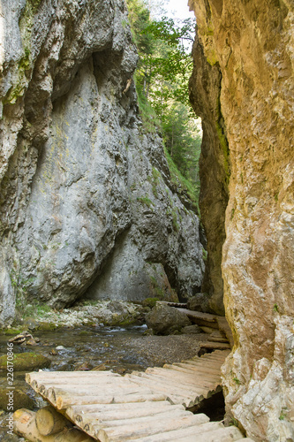 A beautiful hiking trail in Low Tatra region in Slovakia. Walking path in mountains and forest. Summer landscape.