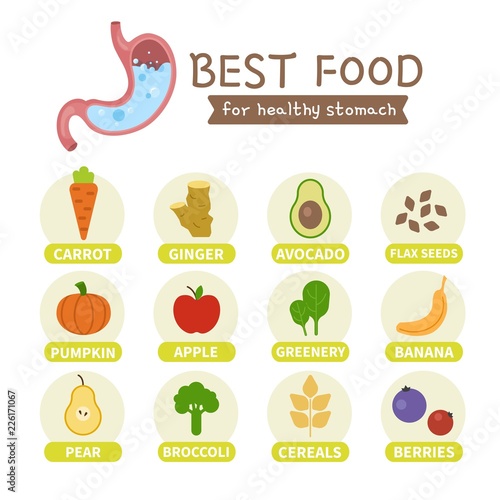 Best foods for the healthy stomach infographic. © Алёна Игдеева