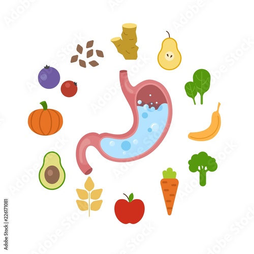 Best foods for the healthy stomach infographic.