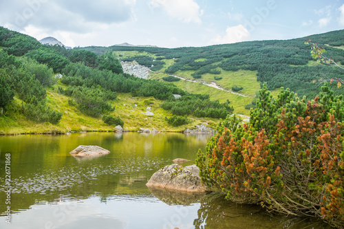 A beautiful, clean lake in the mountain valley in calm, sunny day. Mountain landscape with water in summer. Tatry mountains in Slovakia, Europe.