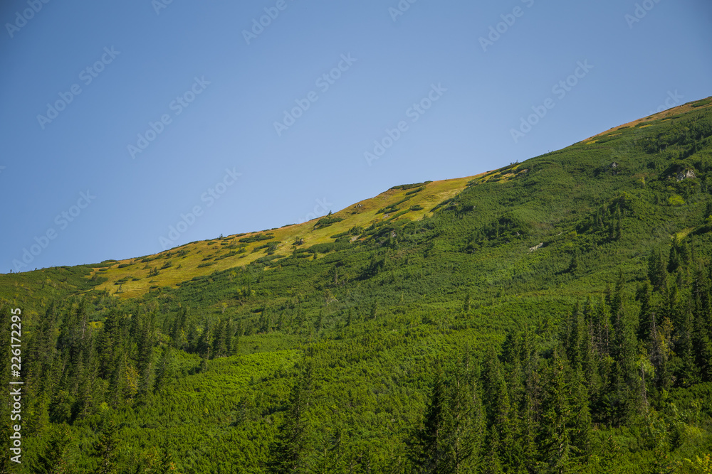Obraz premium A beautiful summer landscape in mountains. Natural scenery in mountains, national park. Tatra mountains in Slovakia, Europe.