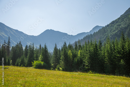 A beautiful summer landscape in mountains. Natural scenery in mountains  national park. Tatra mountains in Slovakia  Europe.