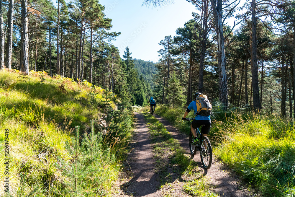 Naklejka premium Zwei Mountainbiker fahren auf Waldweg