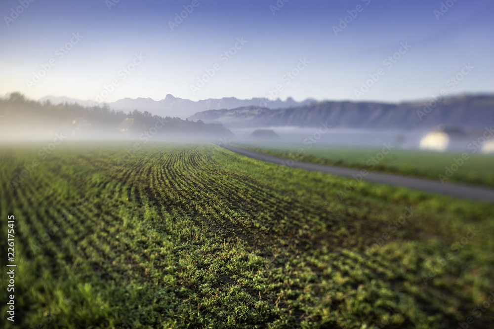 acker mit bergen im hintergrund