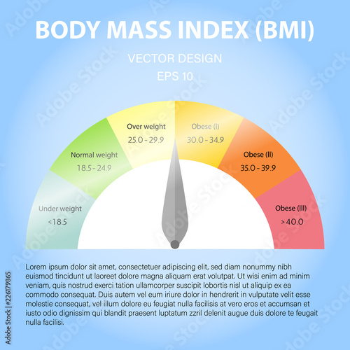 Body mass index scales vector illustration.From underweight to extremely obese in flat style.