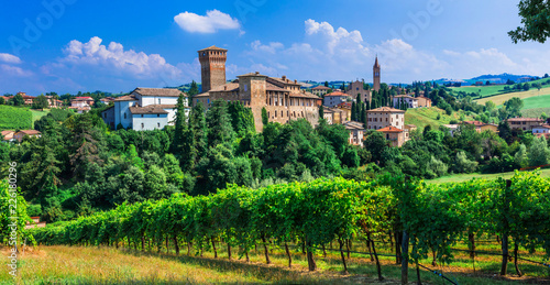 Beautiful traditional medieval Levizzano, with vineyards. Emilia Romagna. Italy photo