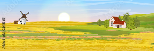 Field sown with cereals. Mill and village house near the hill. Harvesting. Country life. Vector rural landscape