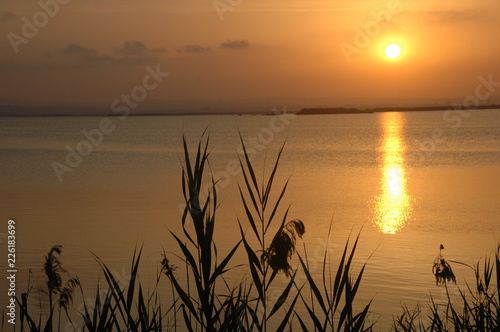 Atardecer en la Albufera