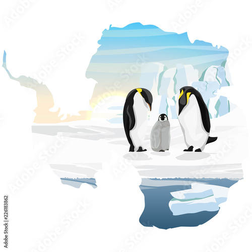 Family of emperor penguins with a chick. Care for the offspring. Realistic Antarctic landscape. Vector illustration in the form of a map of the continent of Antarctica.