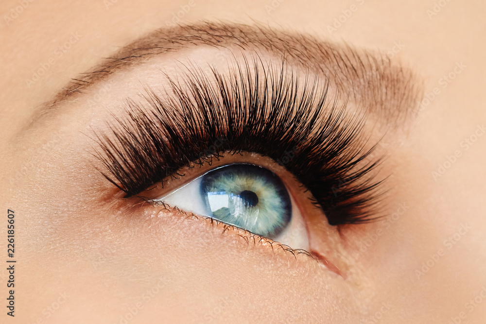 Fototapeta premium Female eye with extreme long false eyelashes and black liner. Eyelash extensions, make-up, cosmetics, beauty